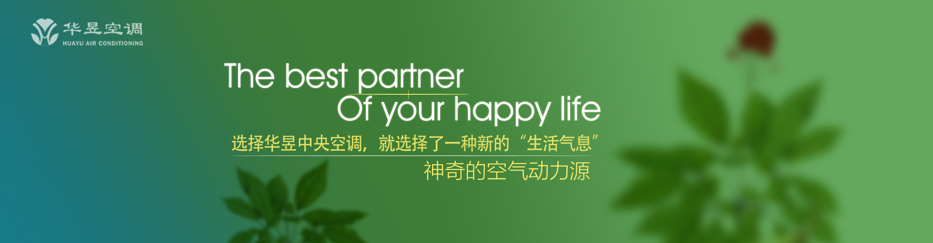金碧辉煌网